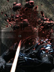 headshot.jpg